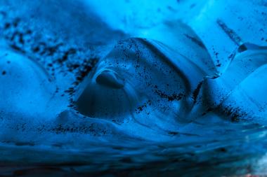 Close-up photograph of a bright blue ice formation with curved surfaces and dark specks, resembling a frozen wave in an icy environment.