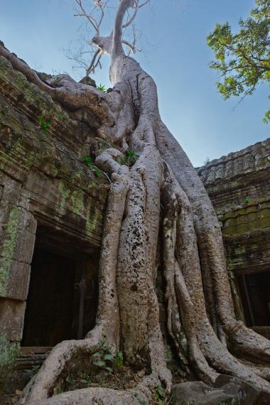 Siem Reap