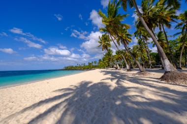 Wide-angle coastal landscape on Grande Comore (Ngazidja), Comoros: a quiet white-sand beach curves along clear turquoise ocean water, while tall coconut palm trees lean over the shore casting long shadows; a few small structures sit back among greenery beneath a bright blue sky with scattered clouds.